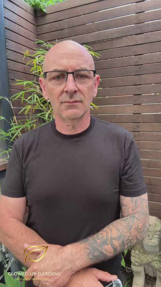 Glow Up-Scan and Plan